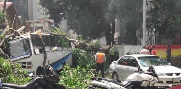 Árbol cayó sobre una unidad de transporte público en Caracas