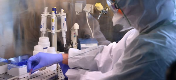 OMS inicia pruebas con tres posibles tratamientos contra el Covid-19