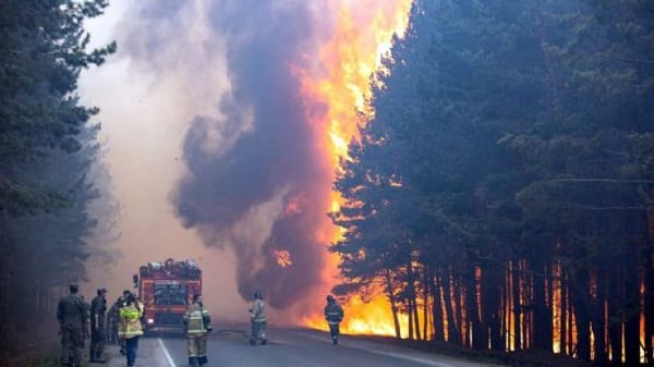 Incendios forestales en Rusia afectan a más de 4 millones de hectáreas