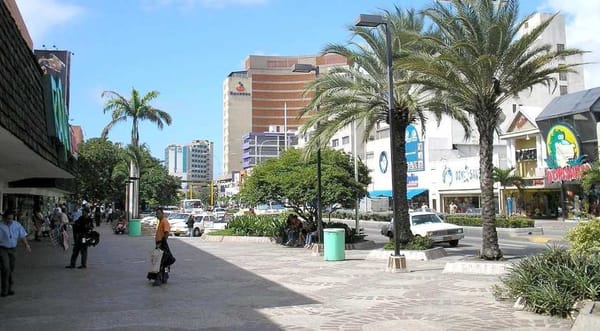 Cámara de comercio en Nueva Esparta pidió incentivos para restablecer actividad comercial