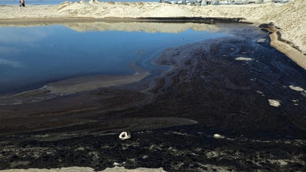 Costas de California en alerta tras derrame de 3 mil barriles de petróleo