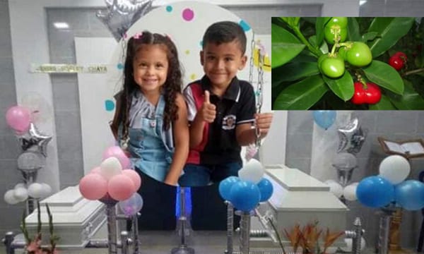 Mueren dos niños venezolanos tras comer una fruta en Colombia