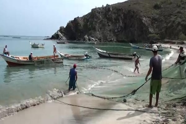 Sector pesquero neoespartano está inoperativo en un 70%