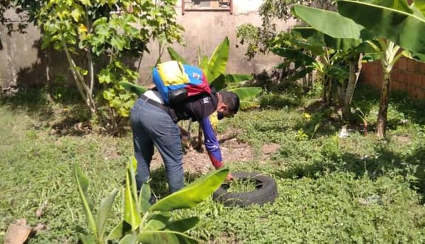Monagas | Más de 11 mil criaderos del Aedes aegypti fueron eliminados