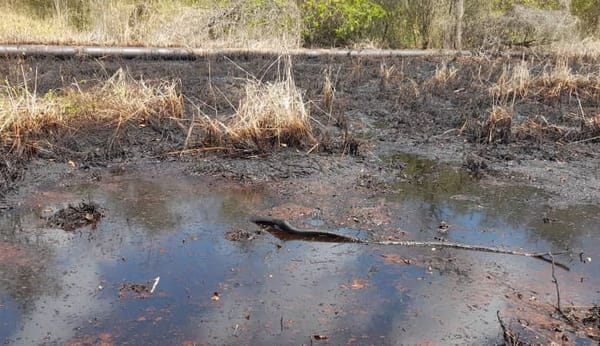 Anzoátegui | Reportan derrames de petróleo cercanos a comunidad de Santa Fe en Píritu