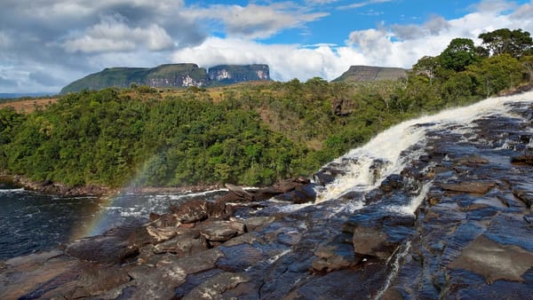Parques Nacionales de Venezuela presentan daños irreversibles