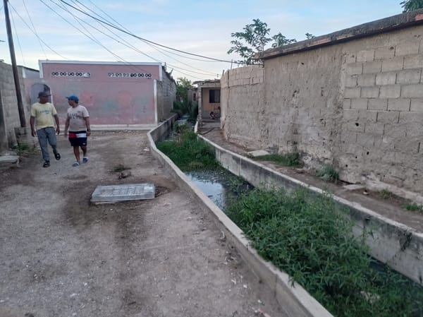 Habitantes de La Marina: "Tenemos más de cinco años viviendo entre aguas negras"