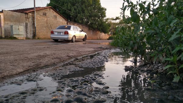  Desborde de aguas negras tiene más de 15 años en Las Garzas en Maturín