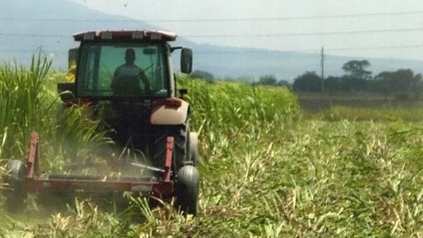 Monagas |Asopropec propuso aumentar el cupo de gasolina subsidiada