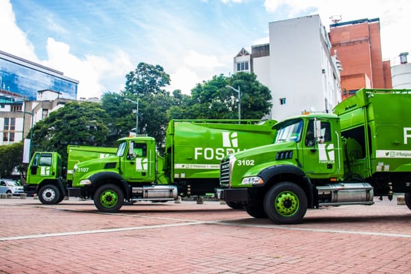 Investigan a la empresa Fospuca por supuesta tala de árboles en Baruta