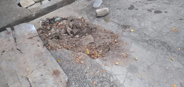 Entre cloacas desbordadas viven 80 familias del sector Negro Primero en Maturín