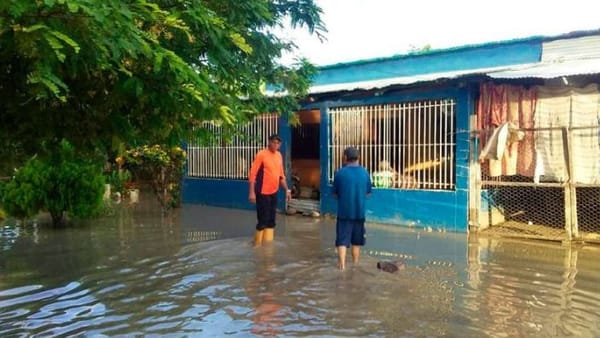 Desbordamiento del río Guanare dejó damnificadas hectáreas de cultivos en Portuguesa