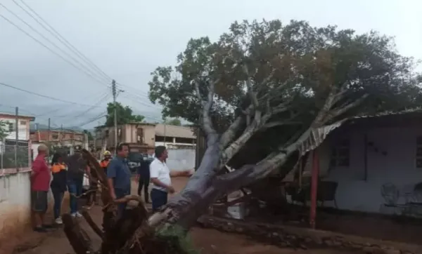 Fuertes lluvias dejaron cuatro familias damnificadas en Puerto Píritu