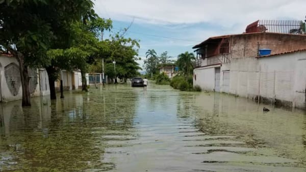 Instituciones gubernamentales ayudaron a familias afectadas por crecimiento de río Limón en Zulia