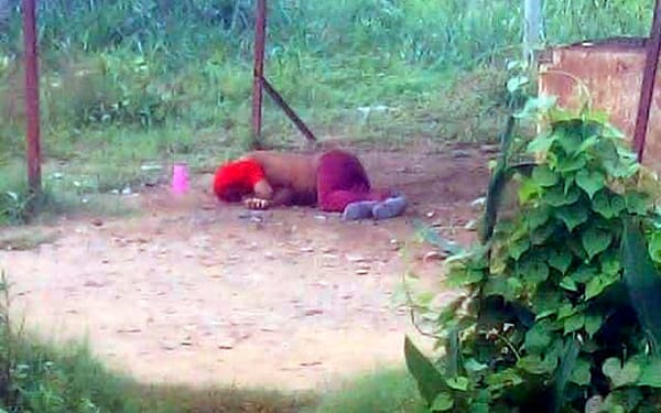 Cicpc halló el cadáver de un hombre en Anzoátegui