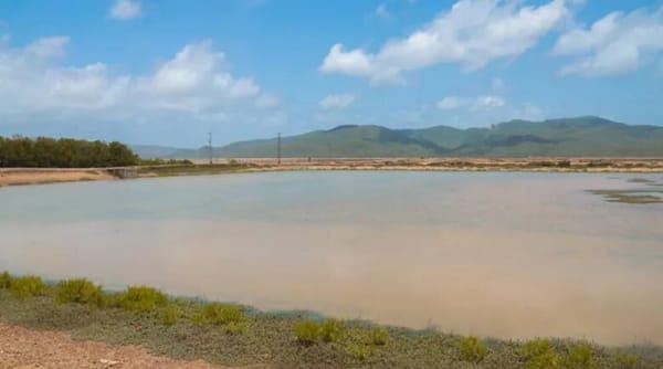 Nuevo avance de 95% en el dragado de la laguna de Puerto Píritu