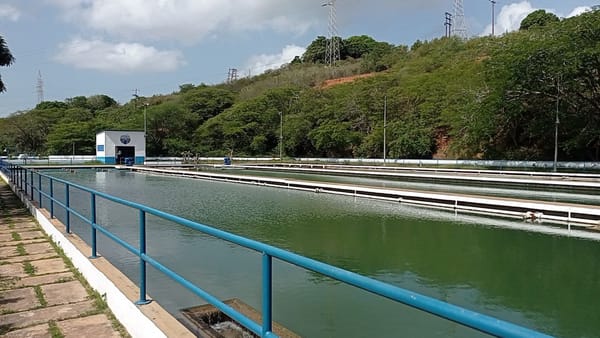 Pinto: "La recuperación es lenta, pero el agua está apta para el consumo humano"