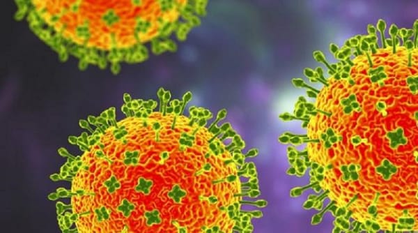 China: reportaron 35 casos de henipavirus en humanos