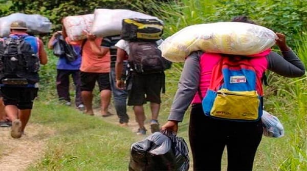 Senafront Panamá desmintió fosa común de venezolanos fallecidos en el Darién