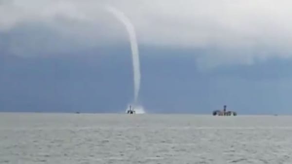 Reportaron trompa marina en el lago de Maracaibo 