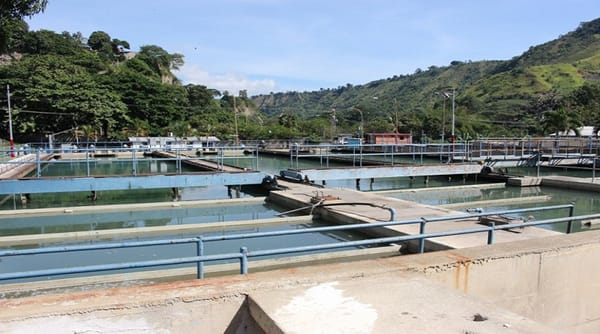 Paralizaron  dos plantas potabilizadoras en Anzoátegui por la turbidez del Río Neverí