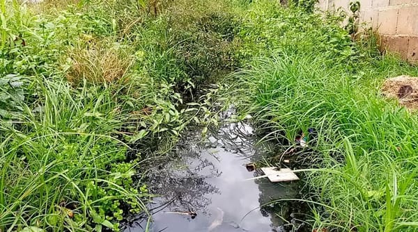Desborde de aguas negras en sector 12 de octubre en Maturín pone en riesgo a 250 familias