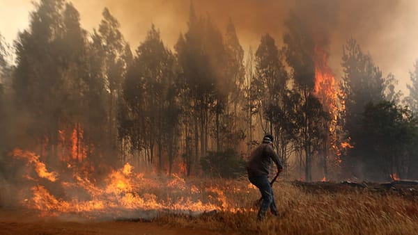 Chile en alerta roja por propagación de incendios forestales