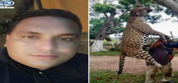 Imputaron a un hombre por matar a un jaguar en Monagas