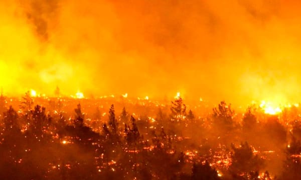 Unos 300 incendios siguen activos en Chile