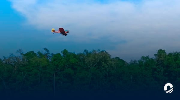 Continúa fumigación contra la palometa peluda en Sucre, Monagas y Delta Amacuro