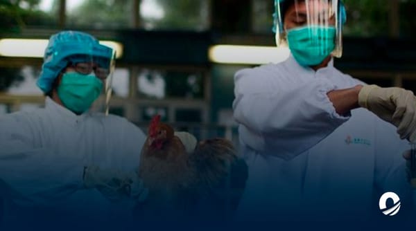 OMS confirmó en China la primera muerte por gripe aviar variable H3N8