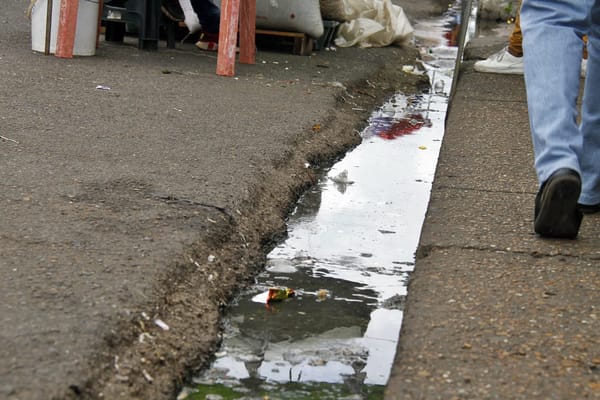 Aguas residuales corren libremente por el Mercado Viejo de Maturín