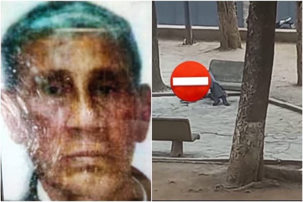 Murió septuagenario tras ser atacado por avispas en Caracas