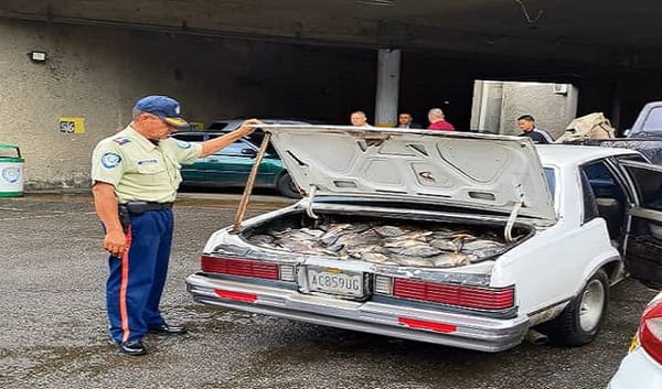 Detenidos tres hombres por intentar vender pescado podrido en Petare