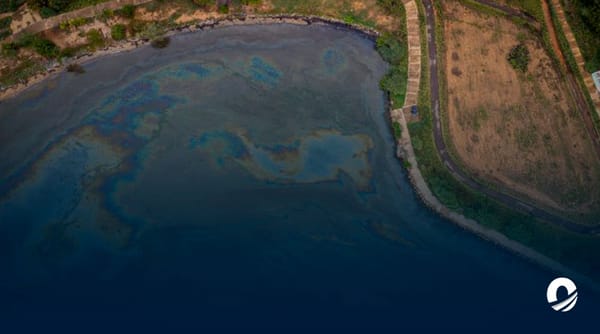 Lago de Maracaibo contaminación por petróleo