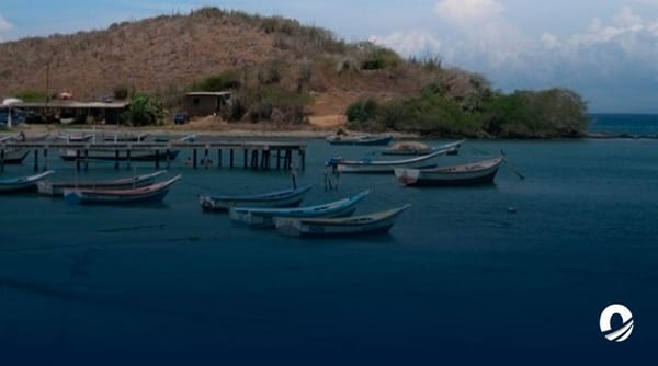 Falta de combustible podría afectar la pesca ante temporada de pulpo