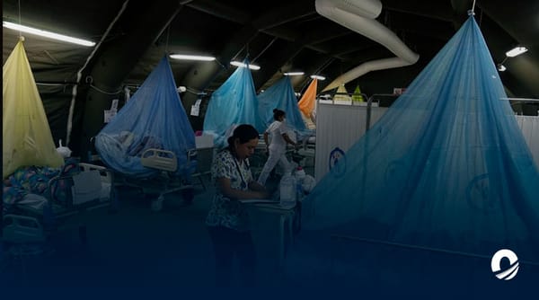 Casos de dengue en la capital venezolana aumentaron 37% en una semana