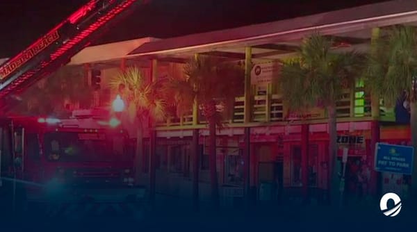 Animales muertos Florida