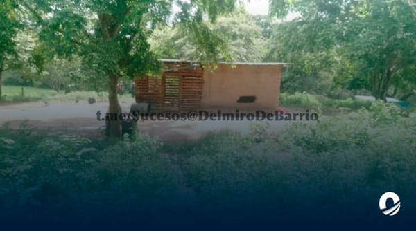 Hallaron cuatro cuerpos amarrados a un árbol en Guárico