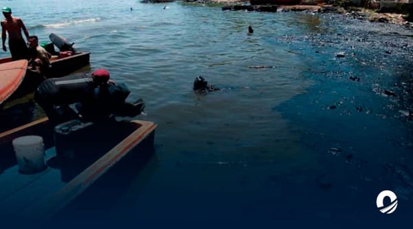 Derrame de petróleo en el lago de Maracaibo afecta su biodiversidad