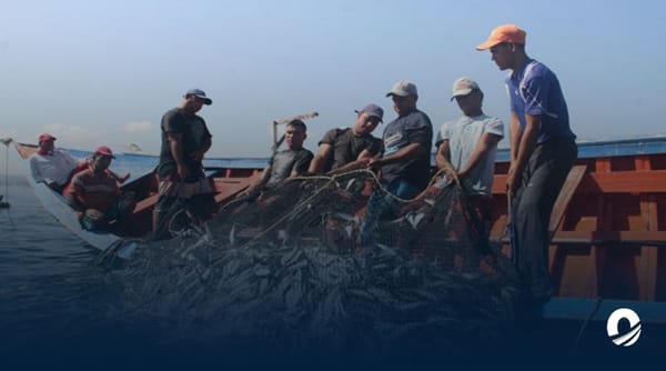 Pescadores denunciaron presencia de botes de arrastre en el Golfo de Cariaco