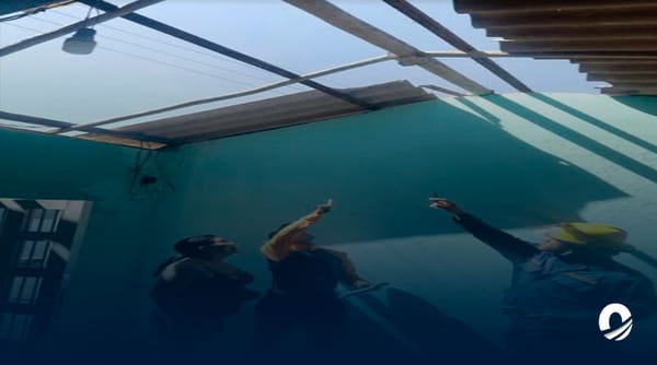 Casas Guacarapo fuertes vientos