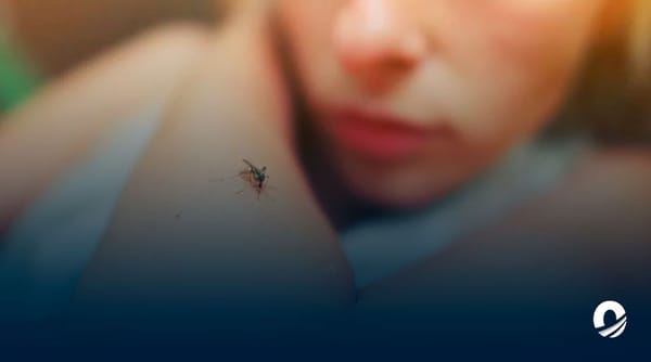 Se han registrado más de 30 casos de leishmaniasis en Monagas
