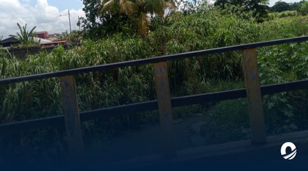 Habitantes de La Cayenas denunciaron mal estado del caño