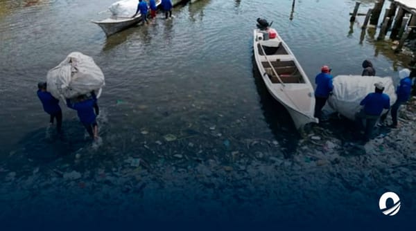 Al menos 21 toneladas de basura han sido recolectada en el Lago de Maracaibo
