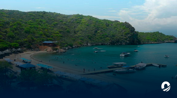 Proponen plan de protección para la biodiversidad marina de Mochima