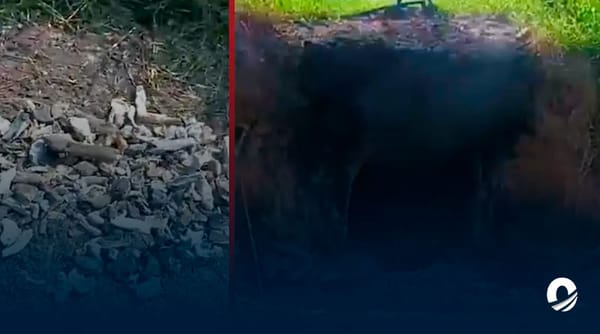 Horno clandestino México