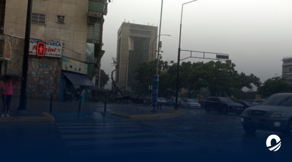 Caracas registró fuertes lluvias que provocaron caídas de arboles este viernes