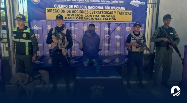 Aprehendieron a hombre con 441 kg de marihuana en Falcón