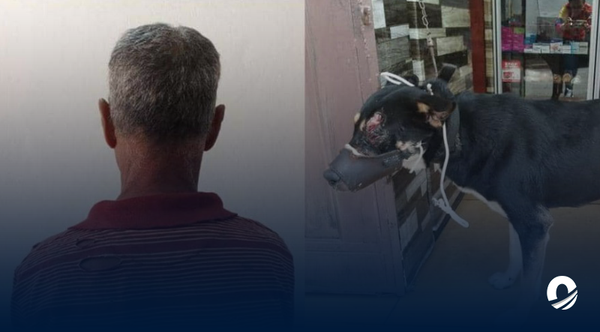 En Mérida, un hombre apuñaló a un perro por “ladrarle”